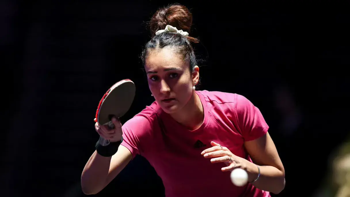 entit, 顺利取胜 entit, 顺利取胜