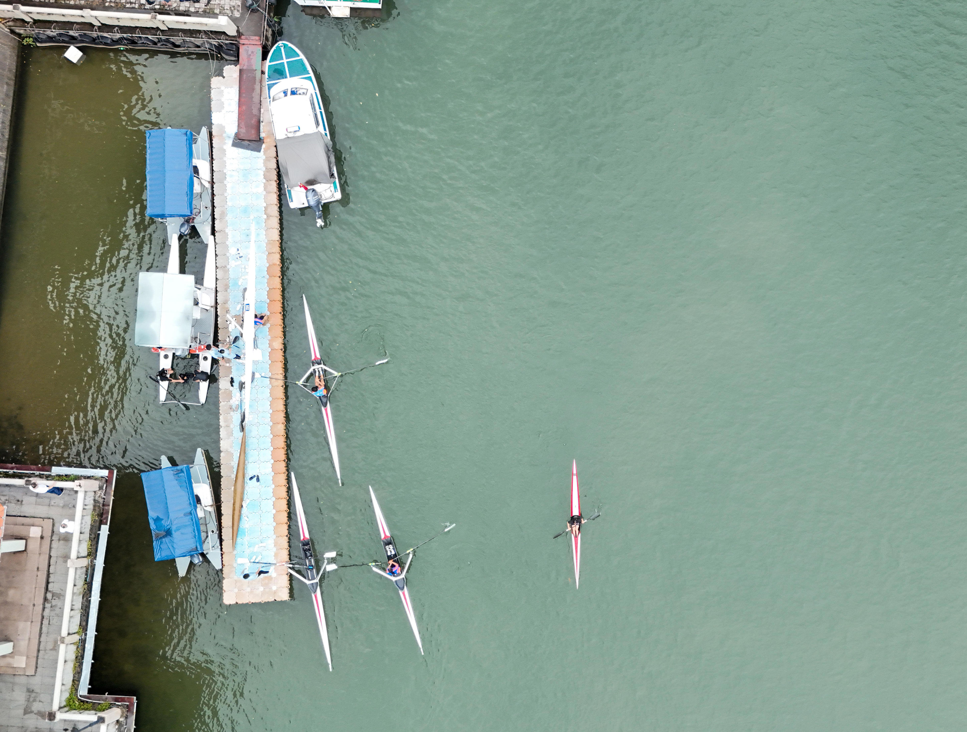 大批优秀运, 和双桨两种 大批优秀运, 和双桨两种
